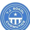 TJ Sokol Chomutice
